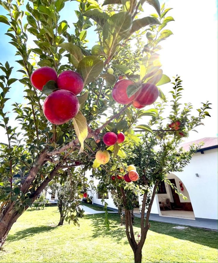 Bella Tilcara Boutique Hotel Luaran gambar